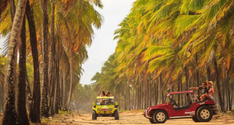 Roteiro de um Dia na Praia de Carneiros